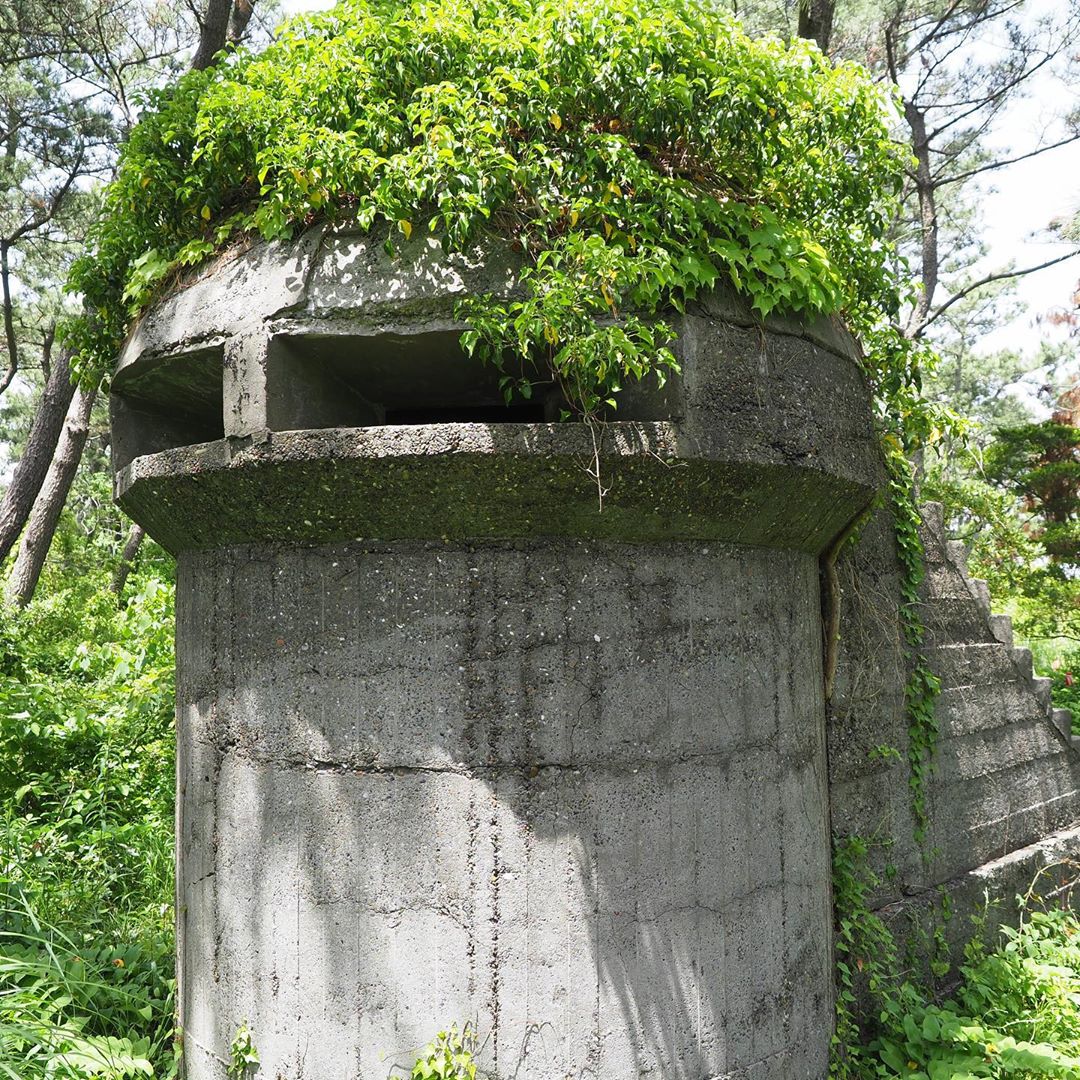 富津岬公園「東京要塞遺構」監的所✨page-visual 富津岬公園「東京要塞遺構」監的所✨ビジュアル
