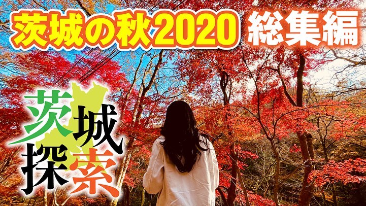 「茨城の秋2020」総集編page-visual 「茨城の秋2020」総集編ビジュアル