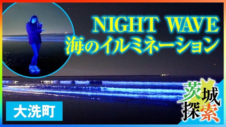 NIGHT WAVE 海のイルミネーションpage-visual NIGHT WAVE 海のイルミネーションビジュアル