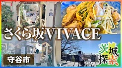 守谷市にあるレストラン「さくら坂VIVACE」page-visual 守谷市にあるレストラン「さくら坂VIVACE」ビジュアル