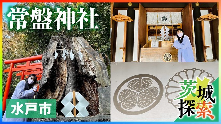 水戸市「常盤神社」page-visual 水戸市「常盤神社」ビジュアル